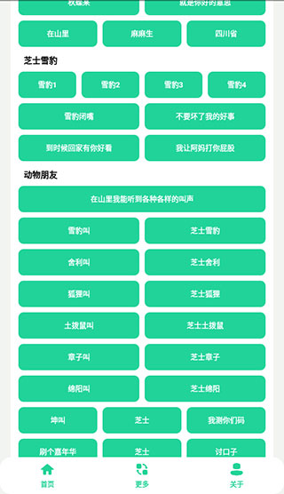 丁真盒截圖2