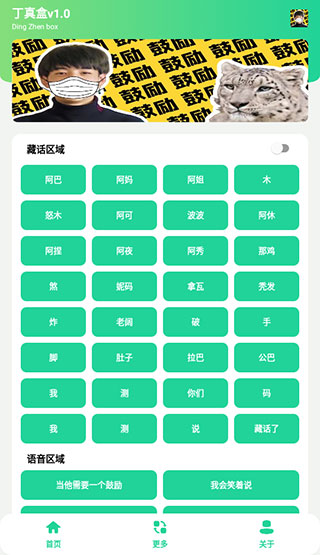 丁真盒截圖4