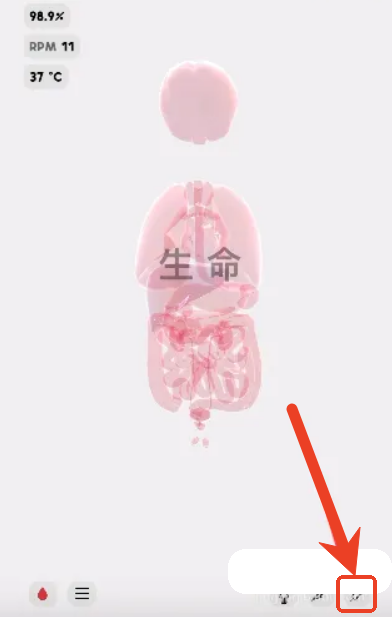 生命LIFE安卓版