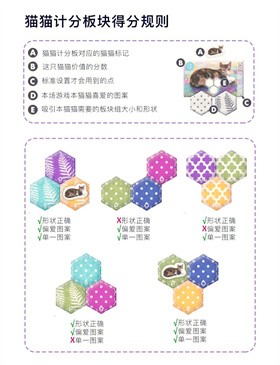 貓與花毯