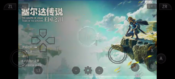 呆萌Switch模擬器截圖1
