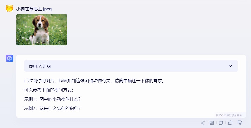 文言一心