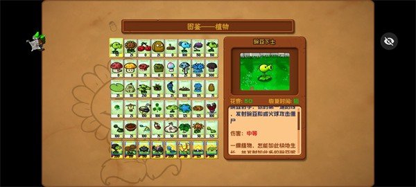 植物大戰(zhàn)僵尸小e版截圖3
