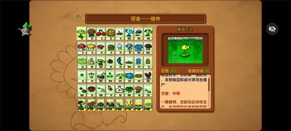 植物大戰(zhàn)僵尸小e版