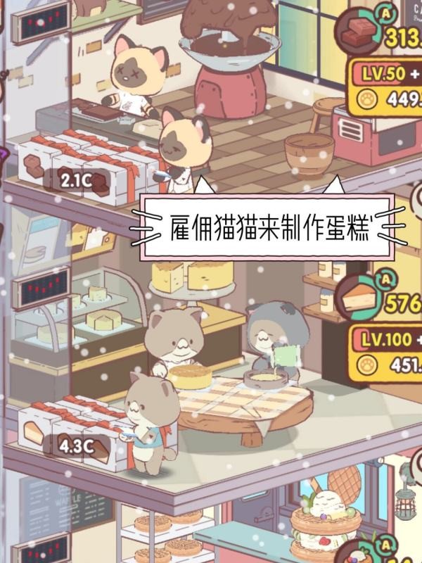 我的貓塔