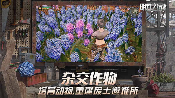 云明日之后截圖3