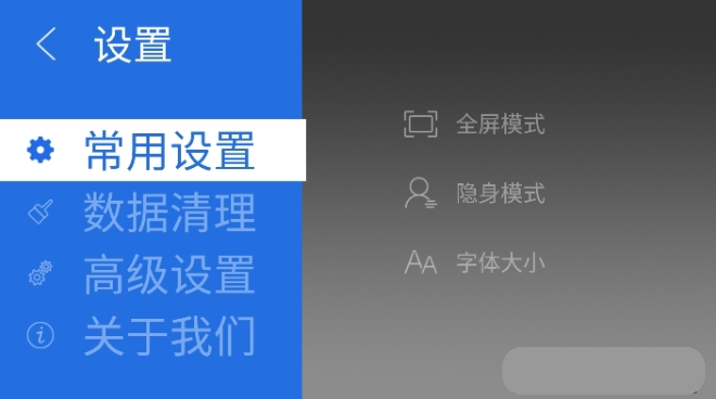 飛視瀏覽器TV版