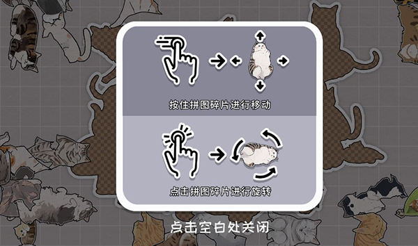 擠在一起的貓貓中文版