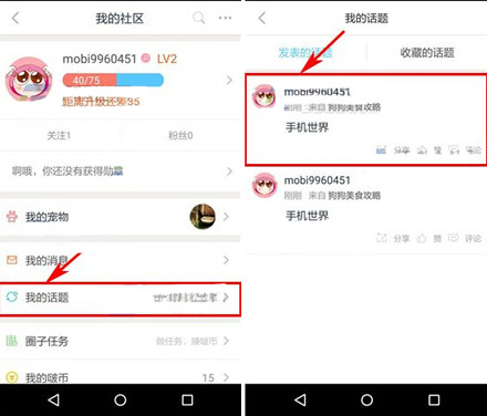 波奇寵物