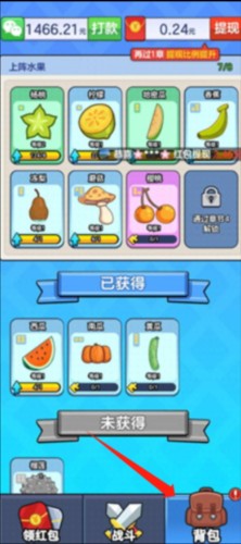 水果王国图片4