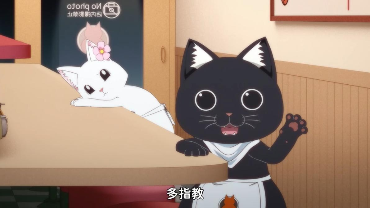拉面赤貓