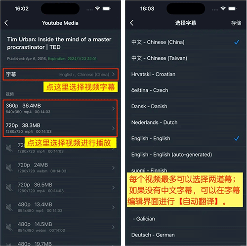 小鹦看看