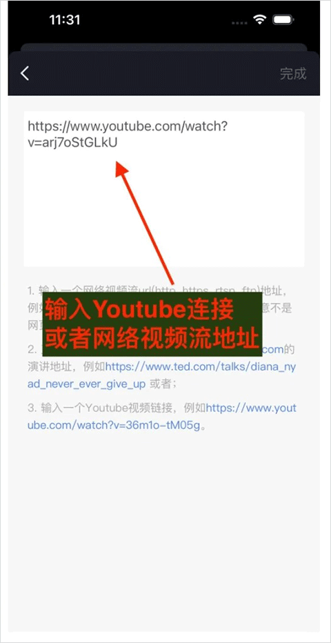 小鹦看看