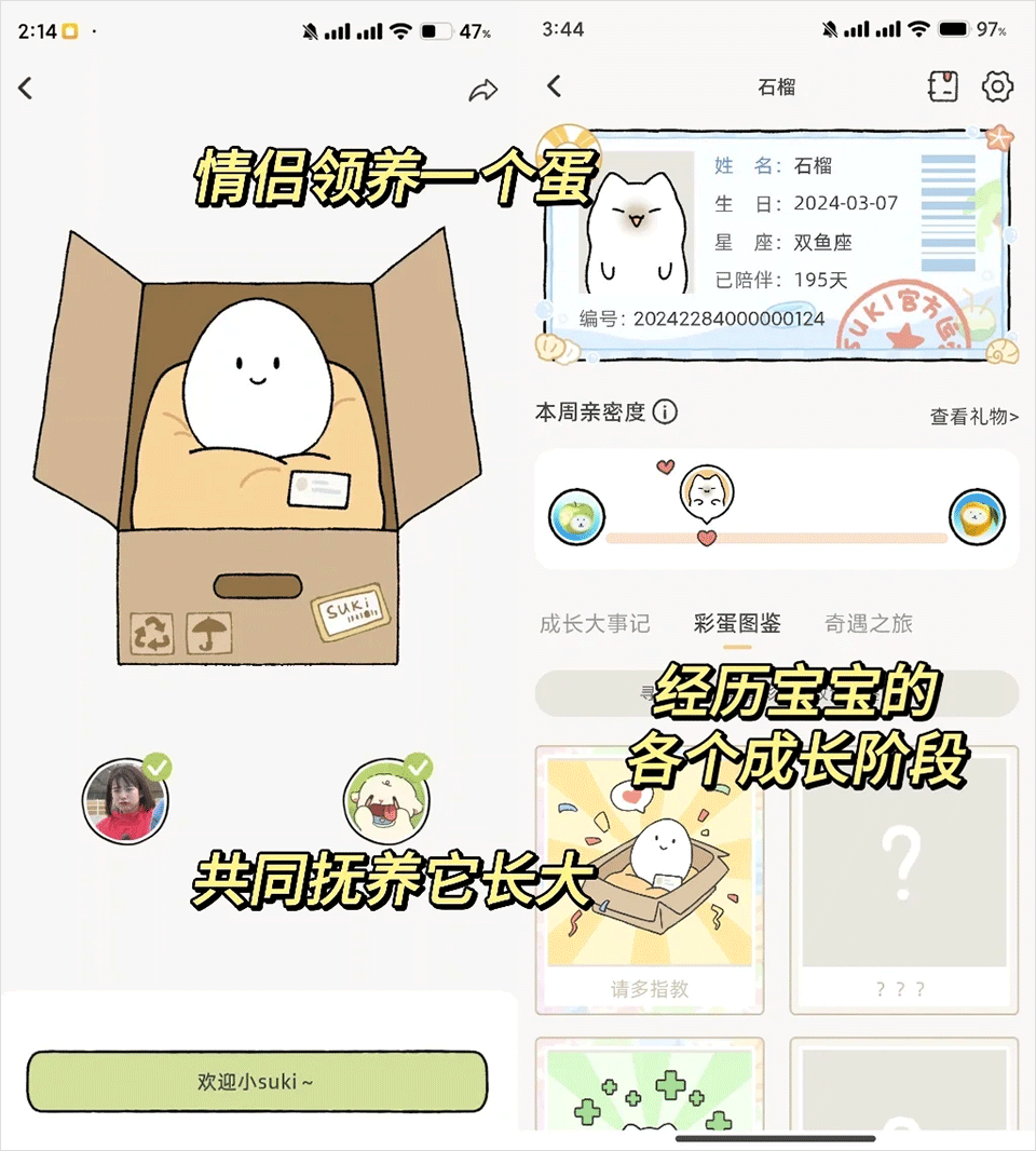 Suki云养宠
