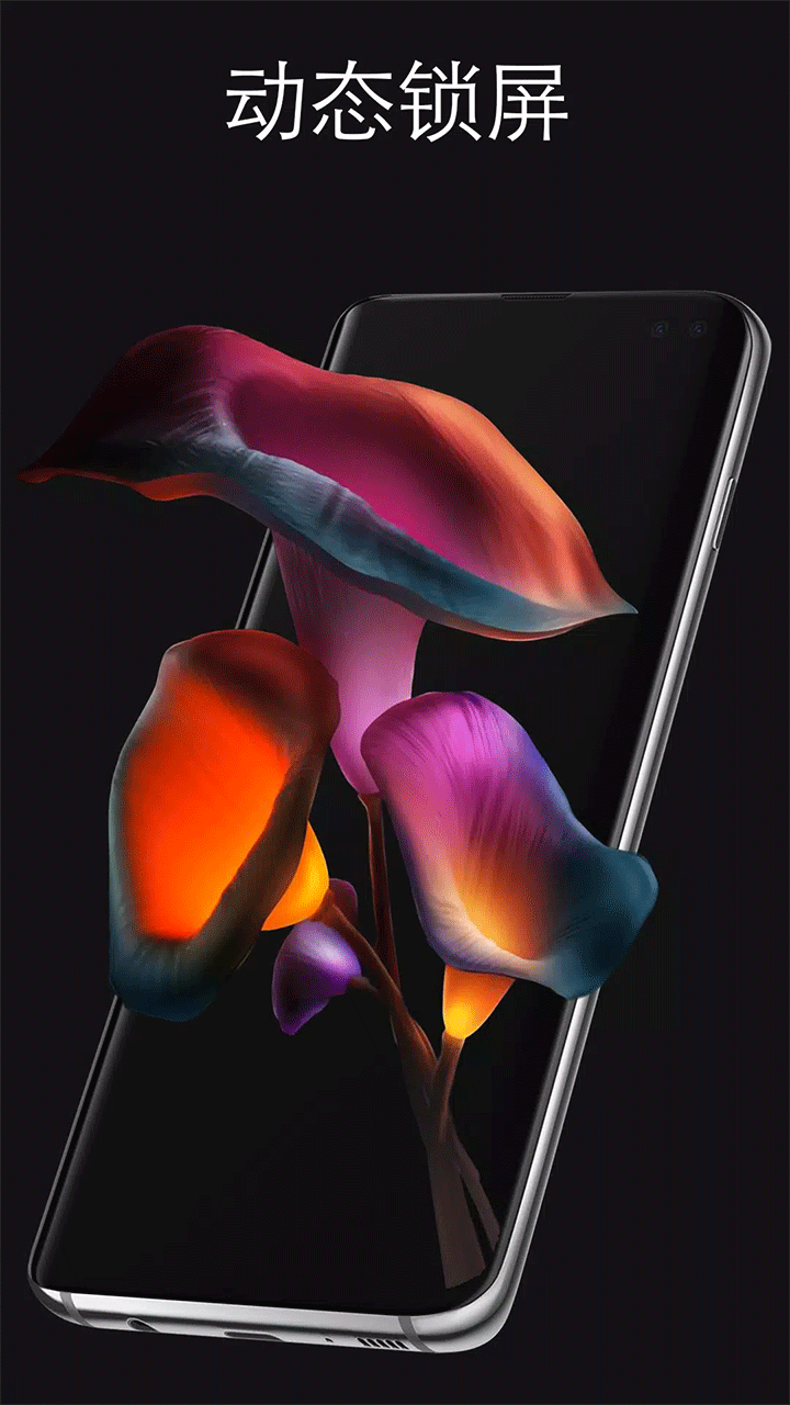Pixel4D动态壁纸安卓版官方正版v3.4.3截图4