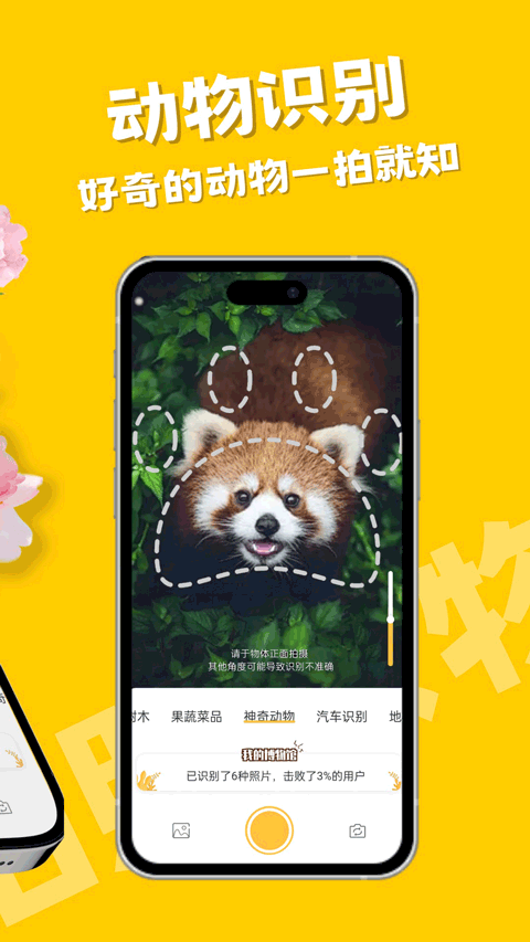 随手拍照识物软件官方正版最新版v1.0.0截图4