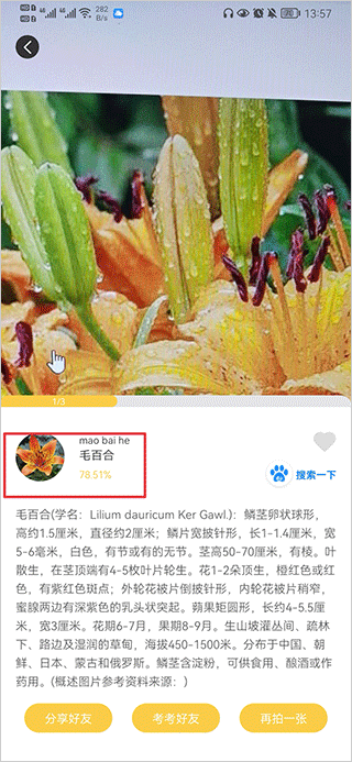 随手拍照识物