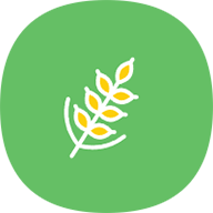麦子器官方最新版v2.0.9