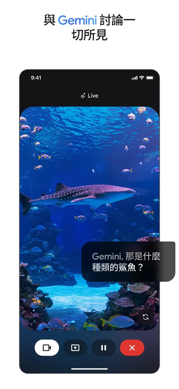 Gemini AI人工智能软件v1.0.751104895安卓版截图1