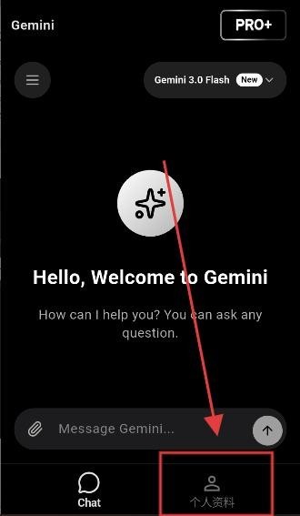 Gemini AI
