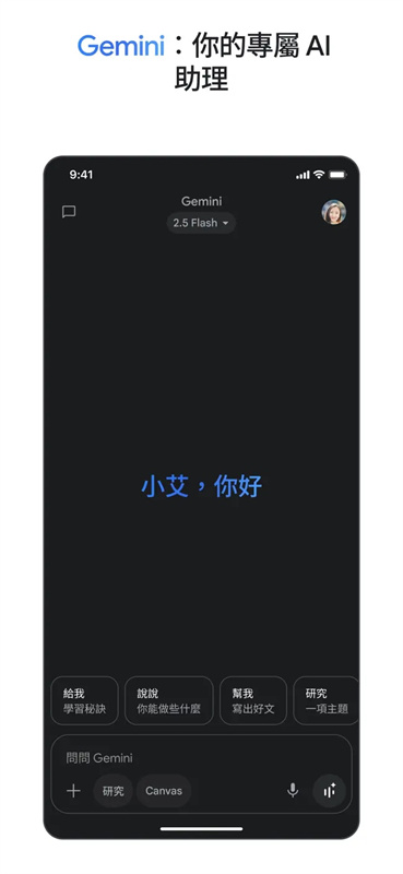 Gemini AI