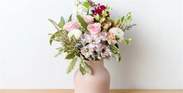 蚂蚁新村2025年11月21日答案：