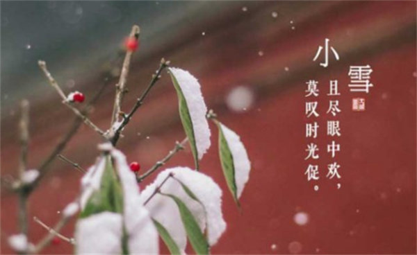 支付宝蚂蚁庄园2025年11月22日答案：哪一项是小雪节气的天气特点?