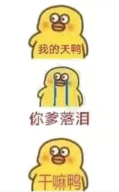 抖音小黃鴨表情包游戲安卓正式版截圖2