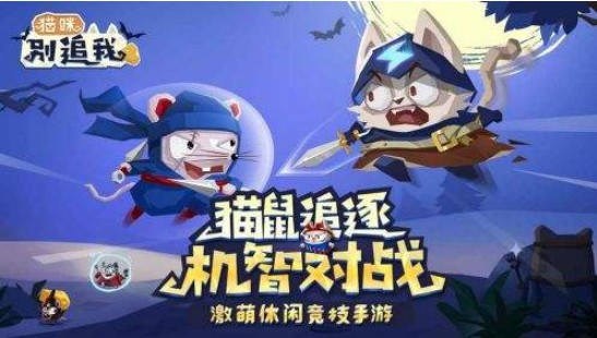 貓咪別追我新手攻略：新手開局玩法分享