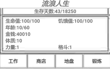 流浪人生攻略大全：新手入門技巧攻略