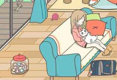 貓咪飼養(yǎng)日常新手攻略：新手操作指南分享