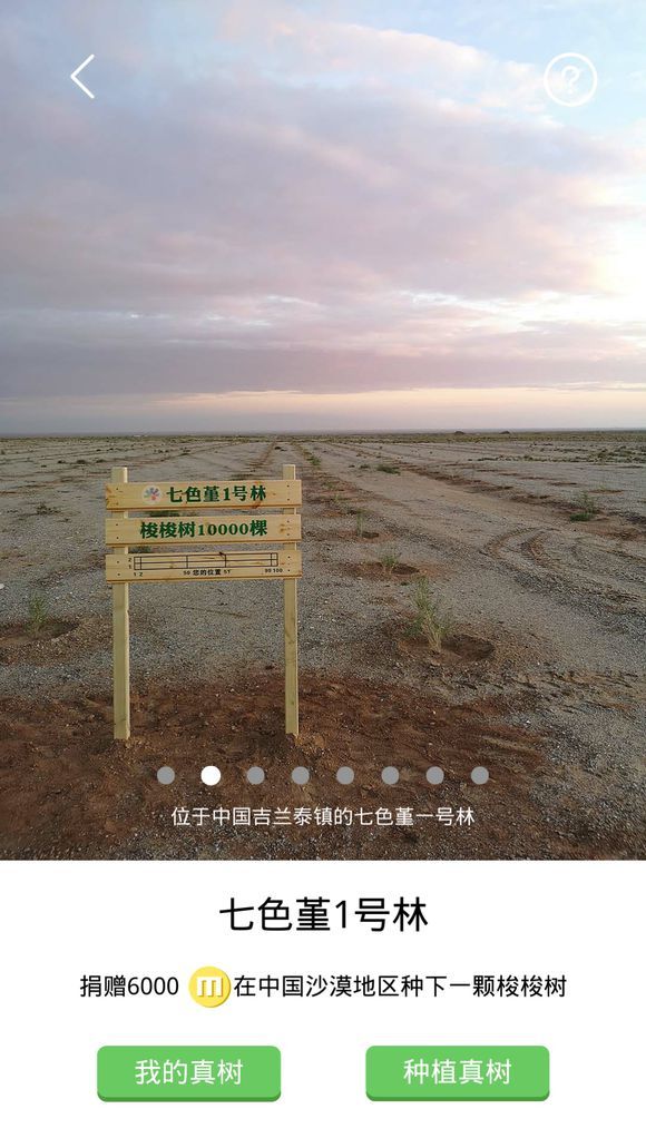 七色堇游戲安卓下載正式版截圖5