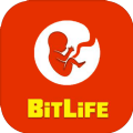 BitLife生活模擬器中文漢化版游戲下載安卓版地址