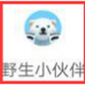 淘寶野生小伙伴手機(jī)游戲最新版