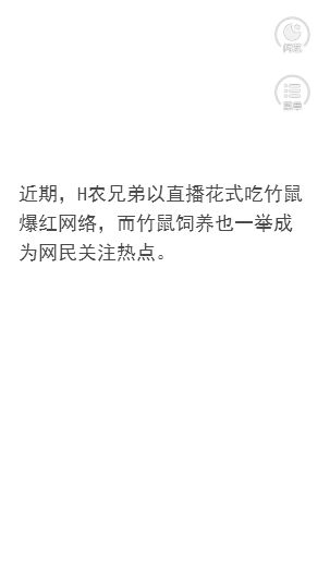 閃藝竹鼠求生記H5網(wǎng)頁版進(jìn)入端口截圖4