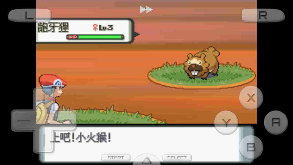 口袋妖怪珍珠全神獸完整攻略完整版截圖3