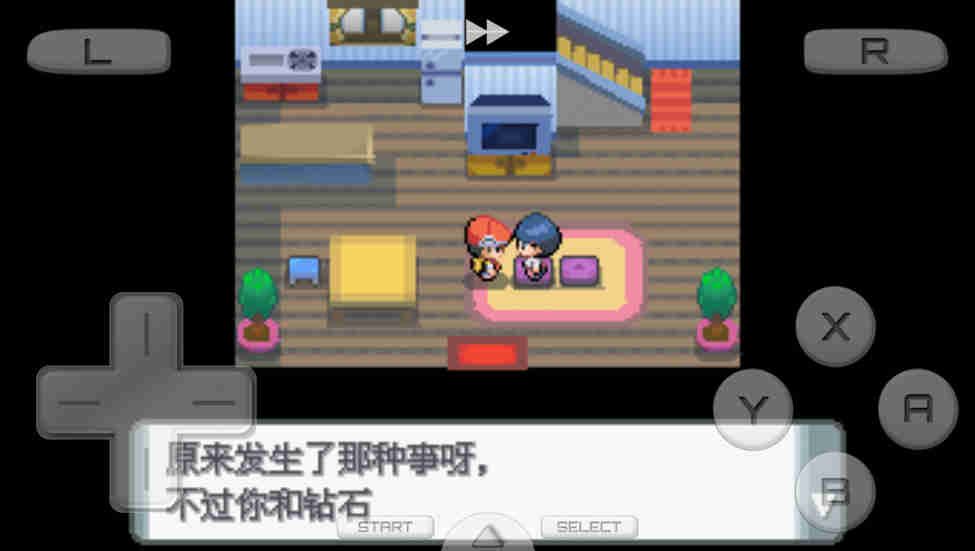 口袋妖怪珍珠全神獸完整攻略完整版截圖4