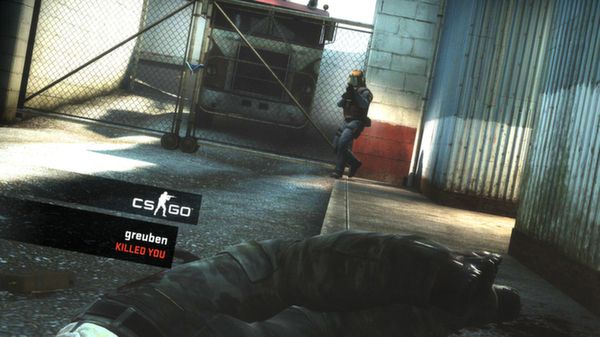 csgo毛子單機(jī)版全皮膚最新版下載截圖5