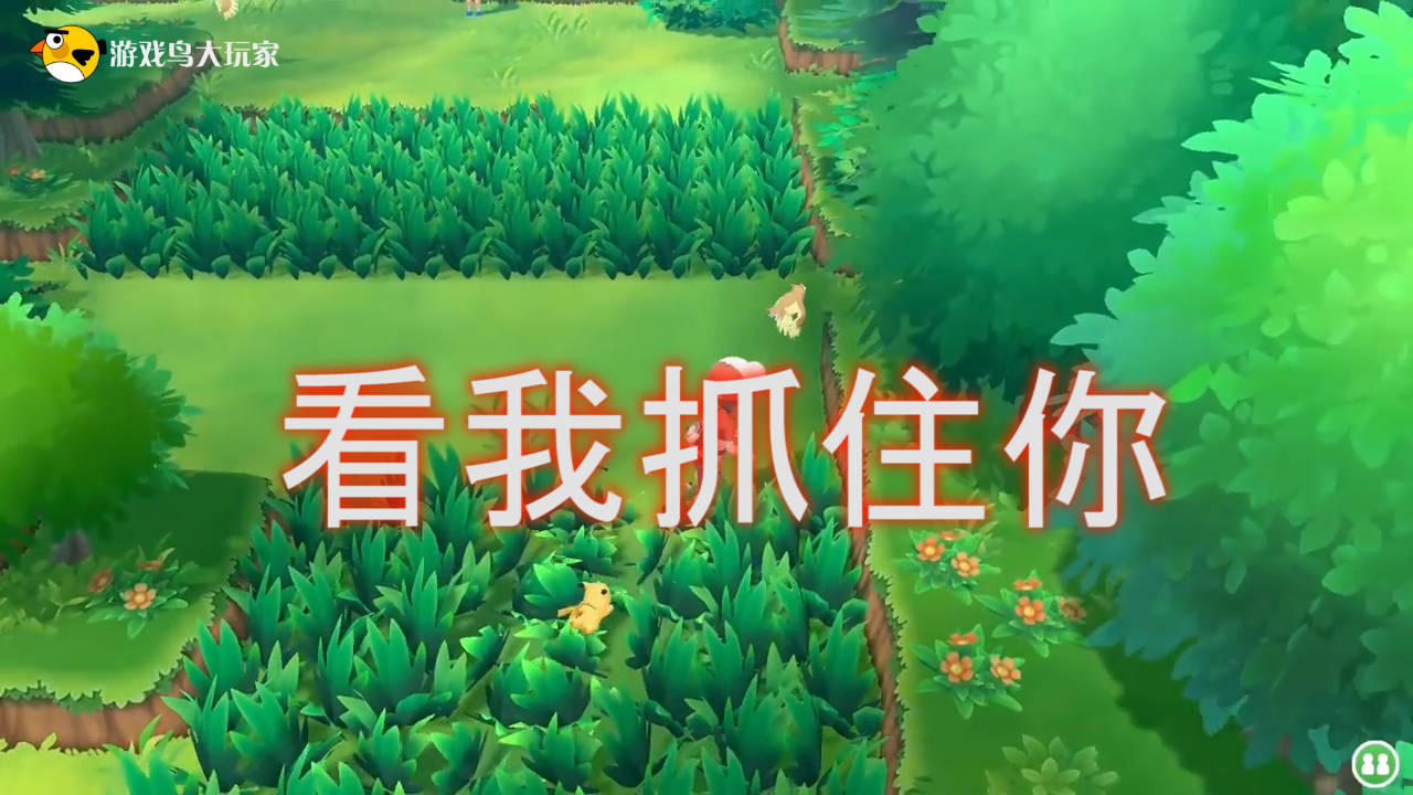 精靈寶可夢(mèng)letsgo02: 差點(diǎn)被波波逃走! 還好我反應(yīng)快