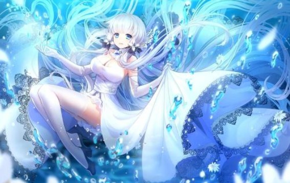 二次元手游出?；鸨赫腻X真的那么好賺？