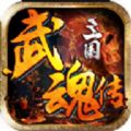 三國(guó)武魂傳安卓下載安卓正式版