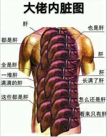 閑話寶可夢(mèng)，你不知道的那些事