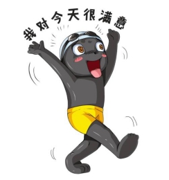 寶可夢進化史