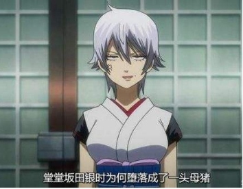 寶可夢進化史