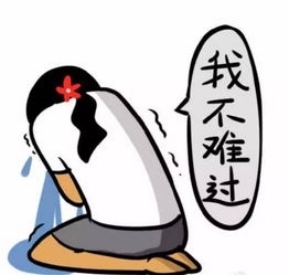 寶可夢發(fā)家史