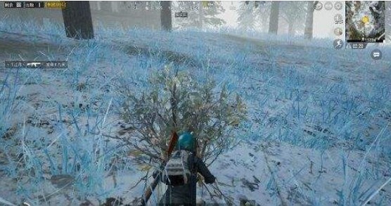 刺激戰(zhàn)場補給箱什么時候更新？雪地補給箱更新內(nèi)容介紹