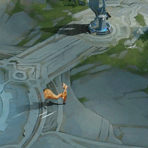 鴿子2.gif