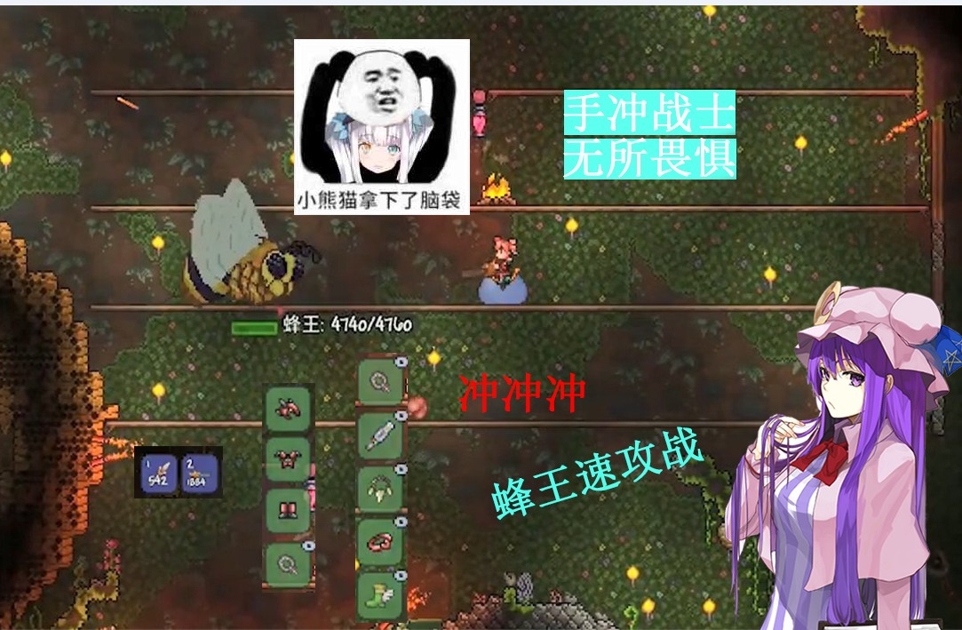 泰拉瑞亞專家生存6p：地牢守衛(wèi)戰(zhàn)前熱身，蜂王速攻戰(zhàn)
