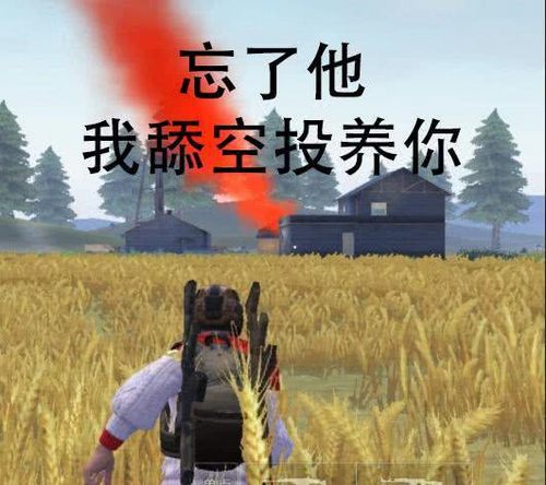 荒野行動空投