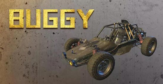 Buggy